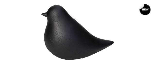 Bird Black